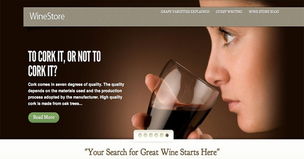 20個簡約的電子商務(wù)網(wǎng)站設(shè)計(jì)