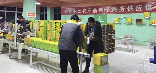 借力農(nóng)村電商&ldquo;東風(fēng)&rdquo;助推金堂柑橘銷往全國(guó)